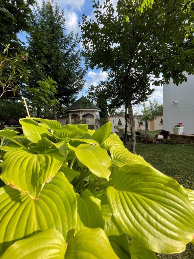 Apartments In Villa Sabb For Rent Sarajewo Zewnętrze zdjęcie